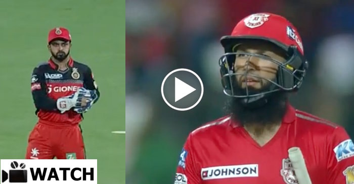 WATCH: Hashim Amla walks off the field before umpire’s decision