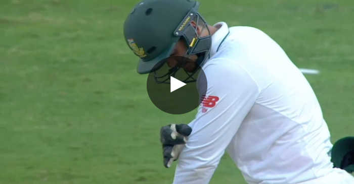 WATCH: Quinton de Kock misses Shaun Marsh stumping due to bee sting