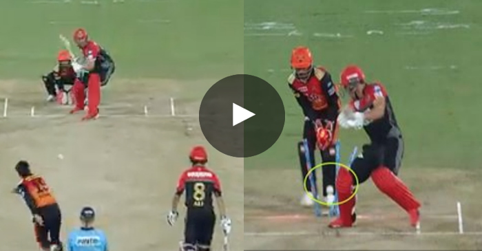 WATCH: Rashid Khan bamboozles AB de Villiers with brilliant googly