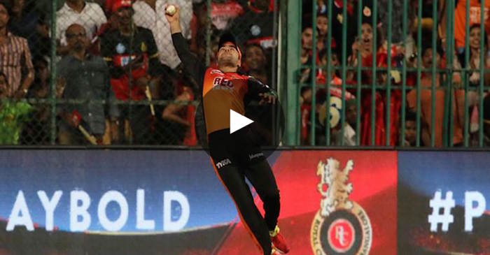 WATCH: Rashid Khan grabs a one-handed stunner to dismiss Colin de Grandhomme