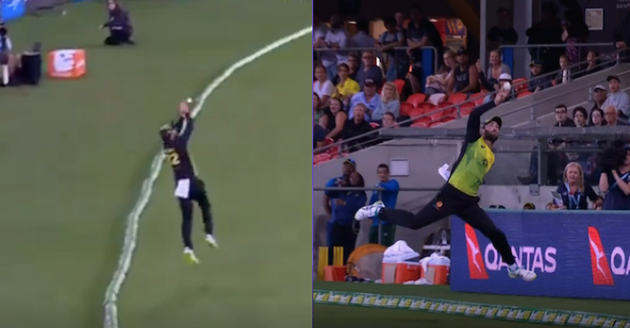 WATCH: Glenn Maxwell takes insane boundary catch to dismiss Faf du Plessis