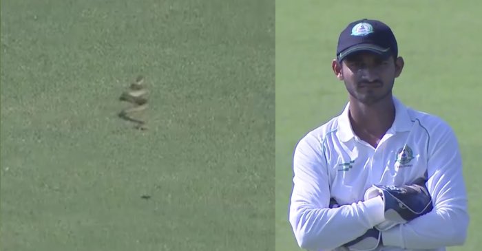 WATCH: Snake stops play in Ranji Trophy match between Vidarbha and Andhra Pradesh