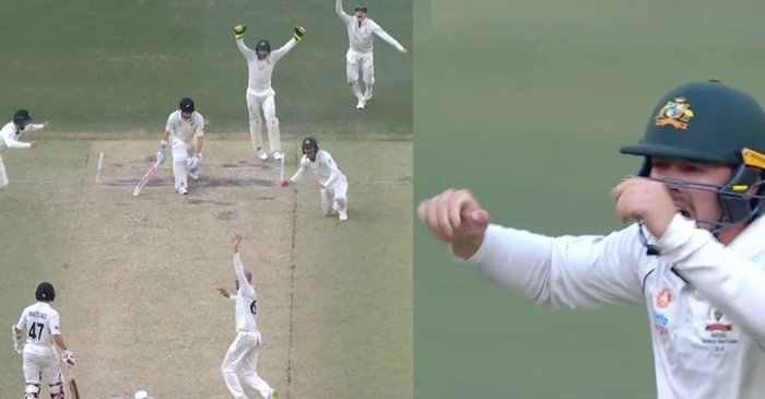 WATCH: Travis Head’s ‘Baby Shark’ celebration during Australia’s emphatic win over New Zealand