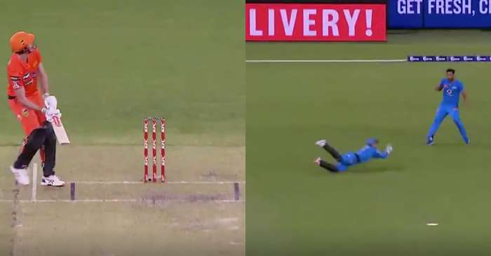 WATCH: Alex Carey takes a sensational diving catch in Big Bash League match