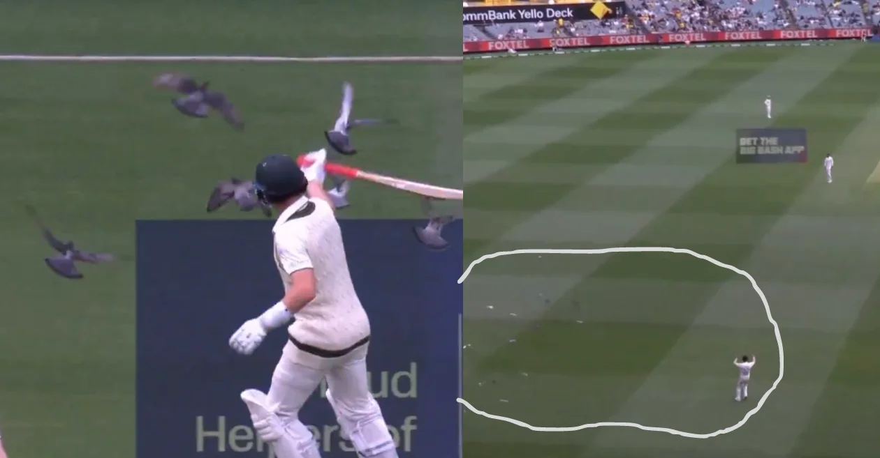 AUS vs PAK [WATCH]: Marnus Labuschagne and Hasan Ali chase off pigeons on Day 1 of MCG Test